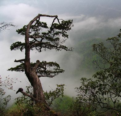 神农架风光